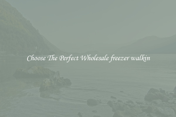 Choose The Perfect Wholesale freezer walkin