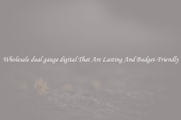 Wholesale dual gauge digital That Are Lasting And Budget-Friendly