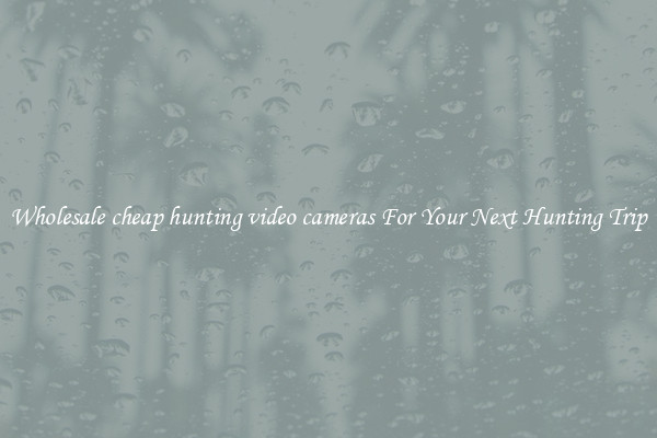 Wholesale cheap hunting video cameras For Your Next Hunting Trip
