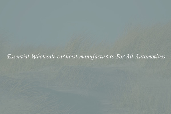 Essential Wholesale car hoist manufacturers For All Automotives