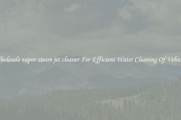 Wholesale vapor steam jet cleaner For Efficient Water Cleaning Of Vehicles