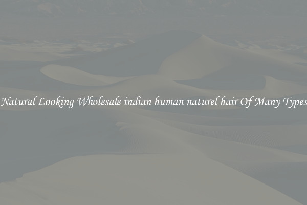 Natural Looking Wholesale indian human naturel hair Of Many Types