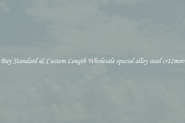 Buy Standard & Custom Length Wholesale special alloy steel cr12mov