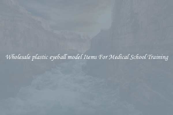 Wholesale plastic eyeball model Items For Medical School Training