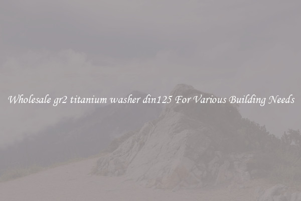 Wholesale gr2 titanium washer din125 For Various Building Needs