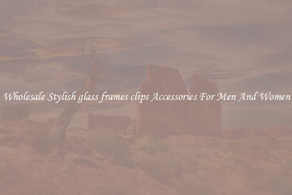 Wholesale Stylish glass frames clips Accessories For Men And Women