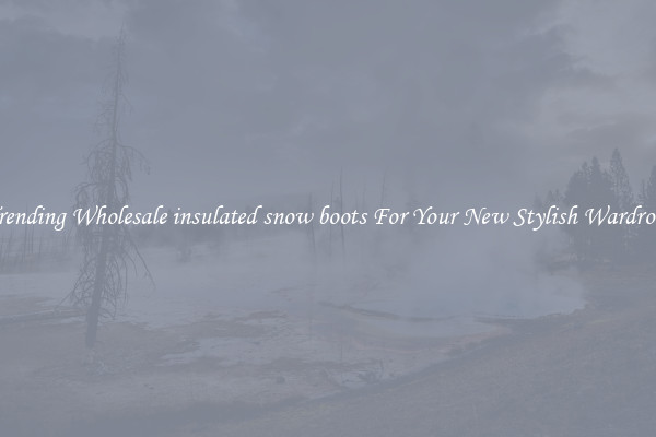 Trending Wholesale insulated snow boots For Your New Stylish Wardrobe