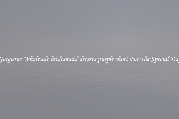 Gorgeous Wholesale bridesmaid dresses purple short For The Special Day