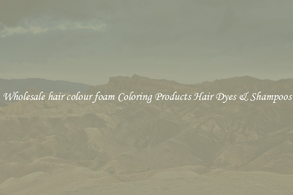 Wholesale hair colour foam Coloring Products Hair Dyes & Shampoos