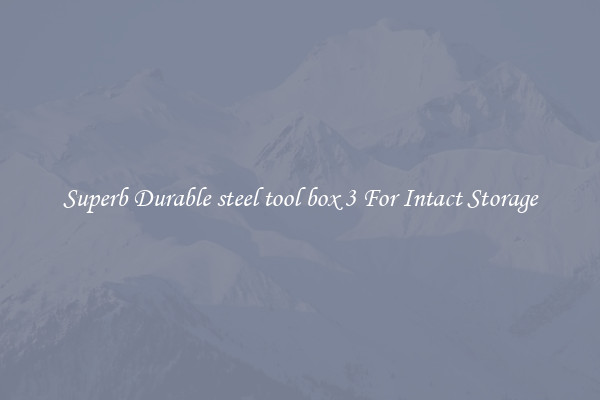 Superb Durable steel tool box 3 For Intact Storage