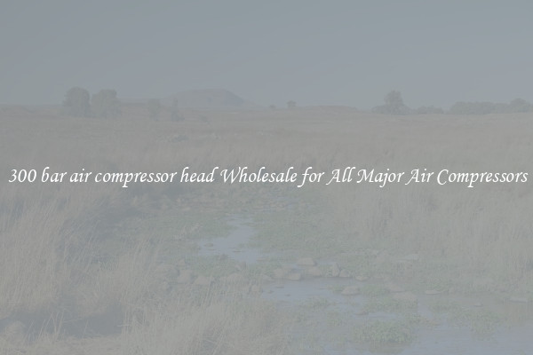 300 bar air compressor head Wholesale for All Major Air Compressors