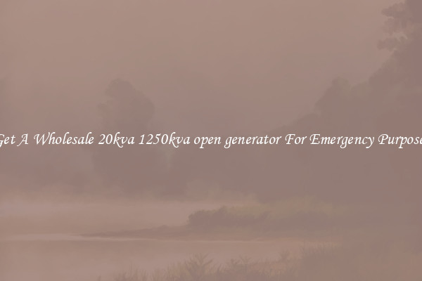 Get A Wholesale 20kva 1250kva open generator For Emergency Purposes