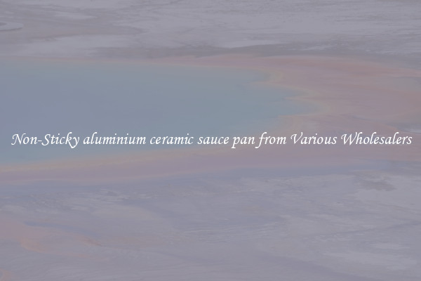 Non-Sticky aluminium ceramic sauce pan from Various Wholesalers